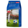 Trávnik Stadionrasen na ihrisko - Kiepenkerl - predaj semien - 1 kg