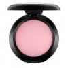 MAC Powder Blush WELL DRESSED 6 g