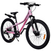 Bicykel STUDENT BICYCLE 24