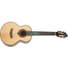 Flight A10SC Cocobolo Dragon (Tenorové akustické ukulele)