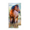 CARBOTEX Detský uterák 30x50cm KôŇ