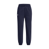 Under Armour UA Icon Fleece Jogger 1373034-410