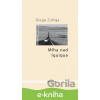 E-kniha Mlha nad Iquique - Diego Zúñiga