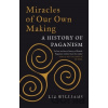 Miracles of Our Own Making - Liz Williams