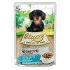 Agras Pet Foods STUZZY Sfilaccetti s bielym rybím mäsom - mokré krmivo pre psov - 100g