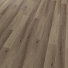Vinylová kompozitná podlaha 5,0mm Conceptline Acoustic Click 30136 Dub Florencie - 2,15 m2
