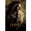 Plagát, Obraz - Hobbit - Thorin, 26.7 × 40 cm