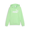 Detská Mikina PUMA ESS NO. 1 LOGO HOODIE TR B 68490949 – Zelená