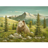 Obraz Kriváň s medveďom Vysoké Tatry, VBart PREVEDENIE: OBRAZ na plátne blindrám, ROZMER v cm/TYP OKRAJA: 90x60
