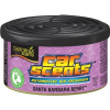 California Scents Car Scents Santa Barbara Berry 42 g
