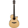 IBANEZ AEG 6-Str Natural Low Gloss