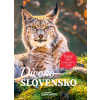 Divoké Slovensko