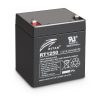 LD Systems LD system Battery for LDRJ8, LDRJ10 & LDRBUD10 & ANNY 8, 10
