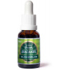 Trávniček DRAGON HERBS – Dračia krv Alchemilka