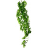 Hobby Philo popínavá rastlina dekorácia do terária 70 cm