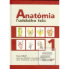 Anatómia ľudského tela 1 (Peter Mráz)