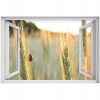 Samostatne 3D okno Biedronka 90x60 (Samostatne 3D okno Biedronka 90x60)