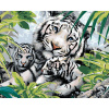 Maľovanie podľa čísel – Biely tiger a dve mláďatá (Howard Robinson), 40 × 50 cm, napnuté plátno na rám 8596530060499