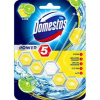 Domestos Power 5 Greentea & Citrus 55g