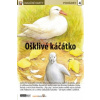 Naučné karty Ošklivé kačátko