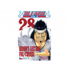 Bleach 28 - Baron’s Lecture Full-Course