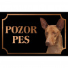 Kanársky podenko - Kovová tabuľka POZOR PES