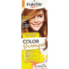 Schwarzkopf Palette Color Shampoo 317 orieškovo plavý