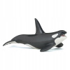 KOSATKA - Killer whale - PAPO - 56000