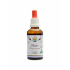 Salviaparadise Bacopa monnieri - brahmi AF tinktura 50ml