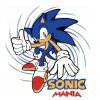 CUKROVÁ TLAČ jedlý obrázok na tortu Cukrová hmota Sonic sonik ježko amy #11 + MENO