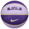Nike Lebron All-Court Hyd/C Gold/Purp size 7