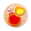 PlanToys PlanToys Puzzle - Životný cyklus kuraťa