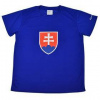 Tričko SportTeam SR 5 pánske tričko