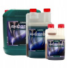 Canna Rhizotonic 1L je silný stimulátor koreňov (Canna Rhizotonic 1L je silný stimulátor koreňov)