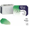 akvarel farba 2,5 ml ROSA Gallery 711 green