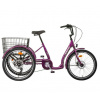 Liberty Trojkolka COMFY 6spd. Disk s diferenciálem, 2025 fialová