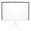 Elite Screens Tripod 152,4 x 152,4cm T85NWS1