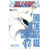 Bleach 47: End Of The Chrysalis Age (Tite Kubo)