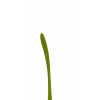 Hokejka pravá Winnwell Q 127 cm