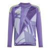 Adidas Tiro 24 Competition Jr IN0430 goalkeeper shirt (196527) Green 128