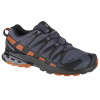 Salomon XA Pro 3D v8 GTX M 409892 running shoes (194422) Black 43 1/3