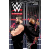 Wwe: The Sami and Kevin Show