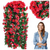 Pelargónie Liljowiec Pelargonia Surfinie Kvety na balkón