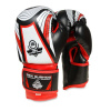 BUSHIDO Boxerské rukavice DBX BUSHIDO ARB407v2 6 oz.