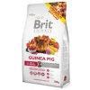 Brit Animals Guinea Pig Complete 300g