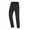 Pánske outdoorové nohavice Direct Alpine Cruise 2.0 anthracite/black M