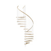 Minka STAIRS Kombinované točité schodisko Spiral Wood dub/biela pr. 140 cm