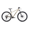 CTM RAMBLER 1.0 29