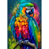 Diamantové maľovanie Norimpex 40x30 cm Tropický ohňostroj farieb