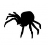 Pavouk - plastová šablona 077 Rozměr: B 14,5x14,5cm